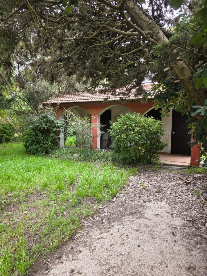 Corbeta Julieta 53