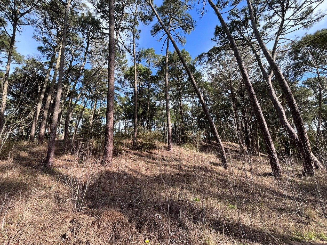 LOTE EN VENTA EN CARILO - BARRIO ZORZAL - 1.283 M²