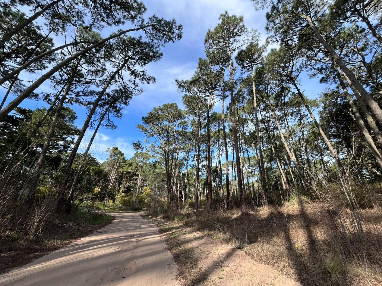 LOTE EN VENTA EN CARILO - BARRIO ZORZAL - 1.283 M²
