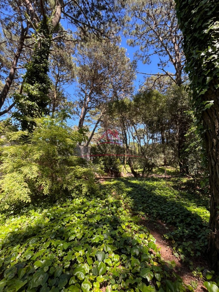 EN VENTA LOTE VALERIA DEL MAR CALLE TUYU