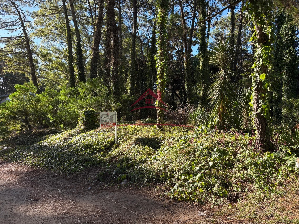 EN VENTA LOTE EN VALERIA DEL MAR